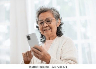 张老