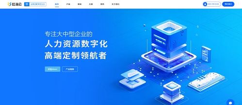 控成本 重激励 多业态企业如何做hr saas选型