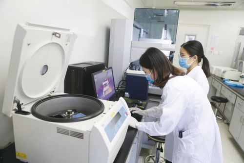 北京顺义110家规上科技服务业企业实现营业收入36.5亿元