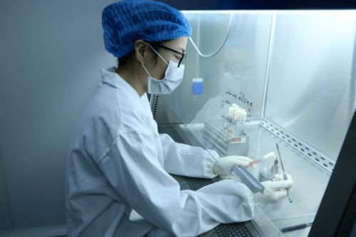 服务类 高新区优秀产业展示 二