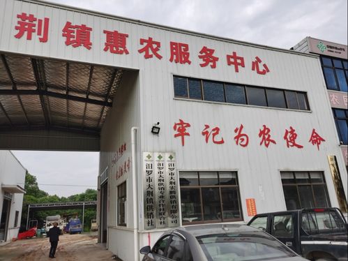 汨罗科技特派员 技术服务在田间
