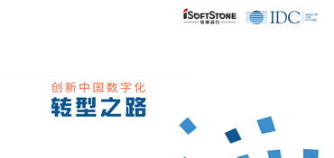 软通动力 引领创新，打造卓越的技术服务新标杆